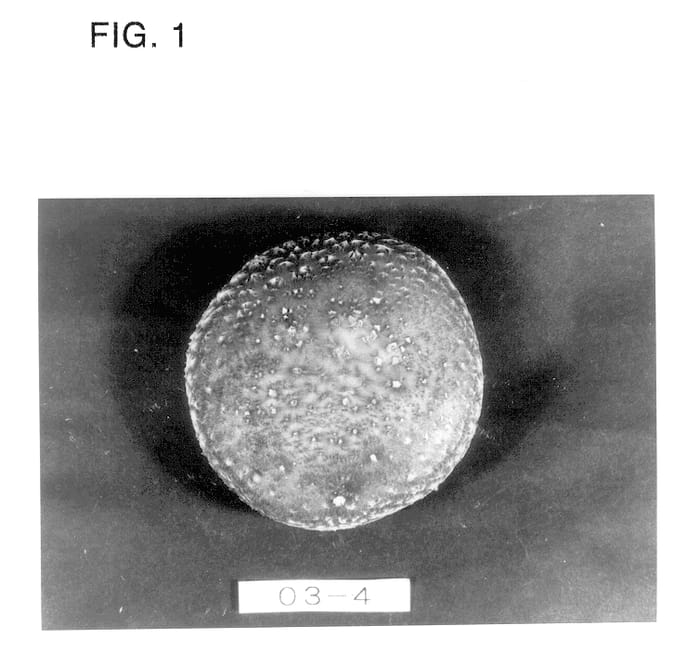 Figure 1 of US plant patent PP12928, the photograph of HS607 printed in the patent.