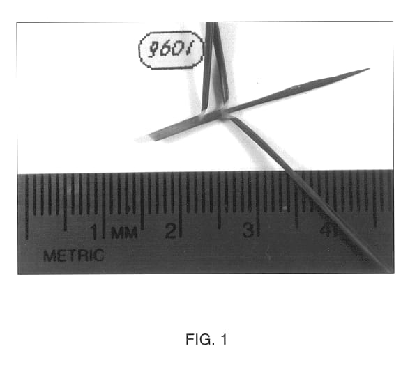 Figure 1 of US plant patent PP14130, the photograph of Zorro zoysiagrass printed in the patent.