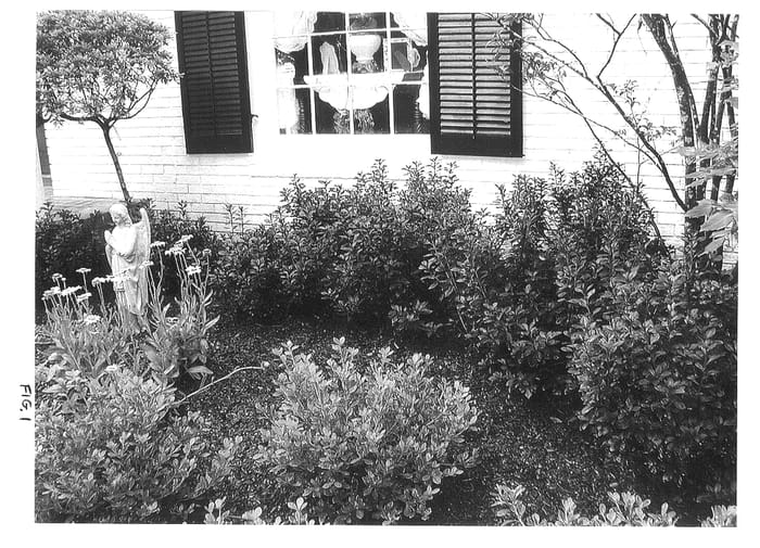 Figure 1 of US plant patent PP14360, the photograph of Crimson Princess printed in the patent.