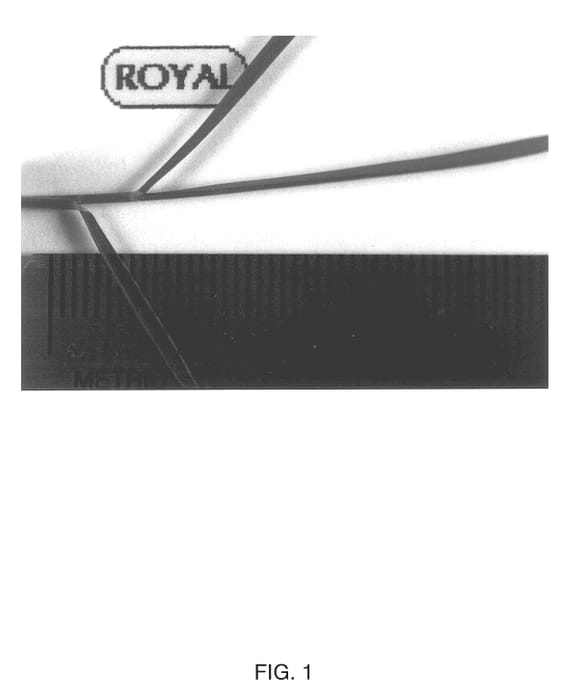 Figure 1 of US plant patent PP14395, the photograph of Royal printed in the patent.