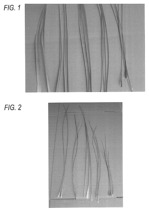 Figure 1 of US plant patent PP15420, the photograph of LM300 printed in the patent.