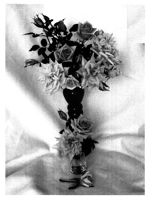 Figure 1 of US plant patent PP16056, the photograph of SAVadouble printed in the patent.
