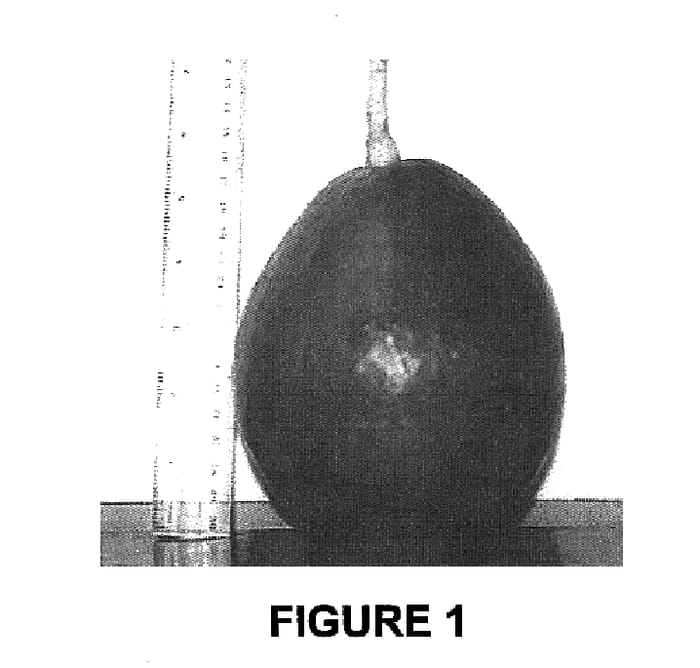 Figure 1 of US plant patent PP16594, the photograph of Carla printed in the patent.