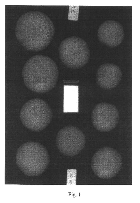 Figure 1 of US plant patent PP17396, the photograph of Broncoh printed in the patent.