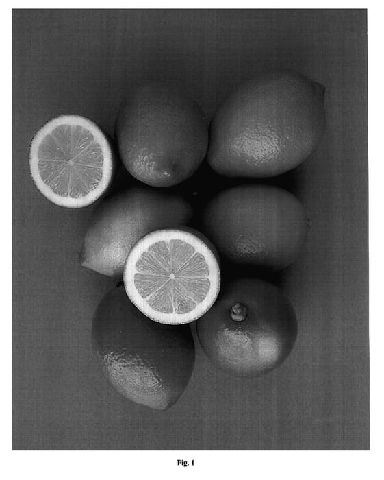 Figure 1 of US plant patent PP17520, the photograph of Yellow Star Seedless printed in the patent.
