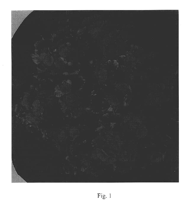 Figure 1 of US plant patent PP17575, the photograph of Solenia Super Red Orange printed in the patent.