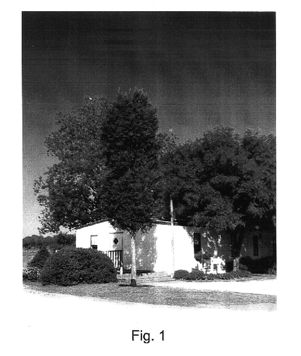 Figure 1 of US plant patent PP17655, the photograph of BSNUPF printed in the patent.