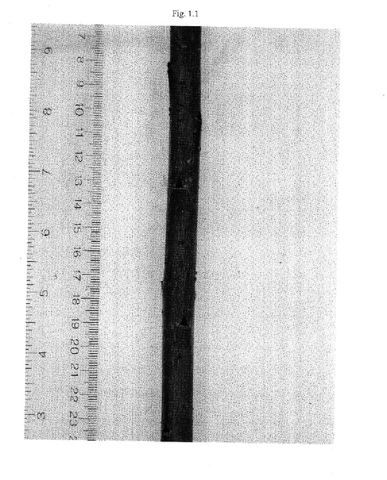 Figure 1 of US plant patent PP17682, the photograph of Oneida printed in the patent.