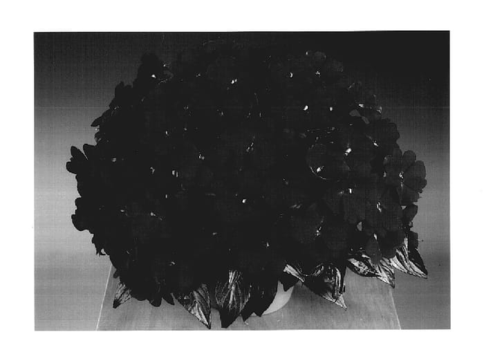 Figure 1 of US plant patent PP17688, the photograph of Fisupnic Purdeep printed in the patent.