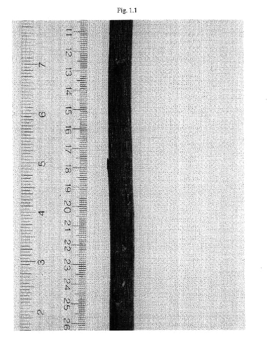 Figure 1 of US plant patent PP17710, the photograph of Fish Creek printed in the patent.