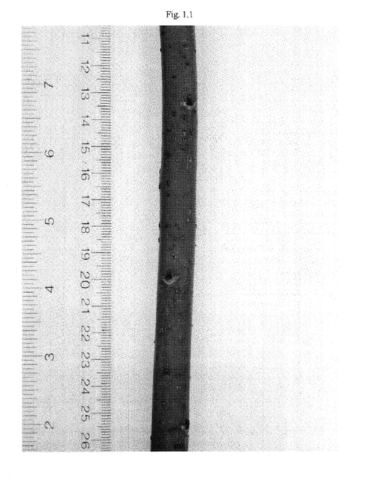 Figure 1 of US plant patent PP17845, the photograph of Owasco printed in the patent.
