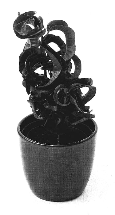 Figure 1 of US plant patent PP18957, the photograph of Revolutions printed in the patent.