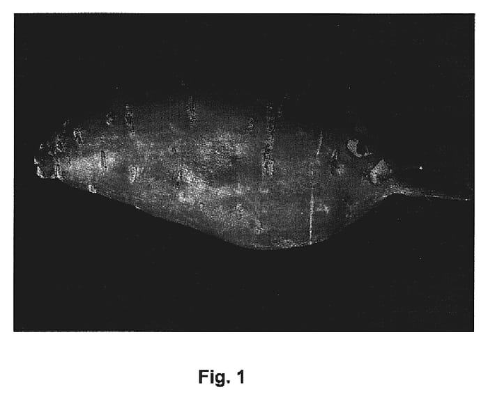 Figure 1 of US plant patent PP19955, the photograph of Murasaki-29 printed in the patent.