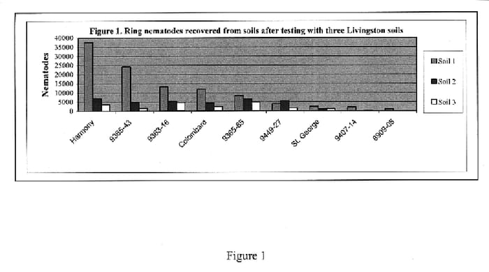 Figure 1 of US plant patent PP19981, the photograph of 8909-05 printed in the patent.