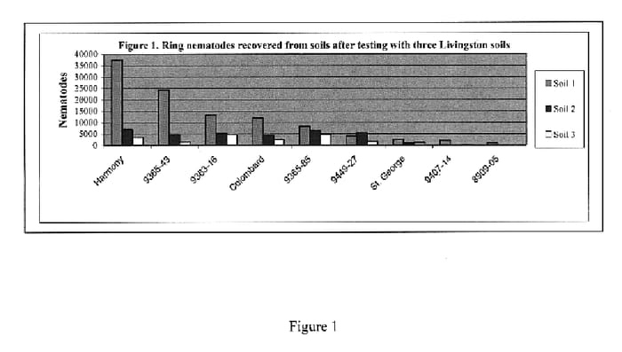 Figure 1 of US plant patent PP20051, the photograph of 9365-43 printed in the patent.