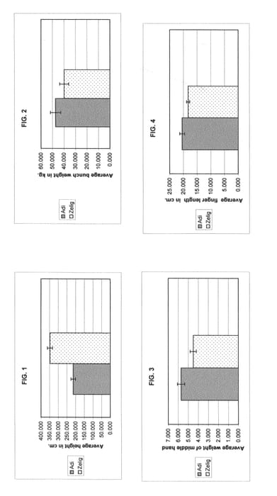 Figure 1 of US plant patent PP20645, the photograph of Adi printed in the patent.