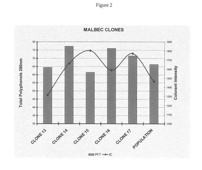 Figure 2 of US plant patent PP20860, the photograph of Catena Malbec Clone 15 printed in the patent.