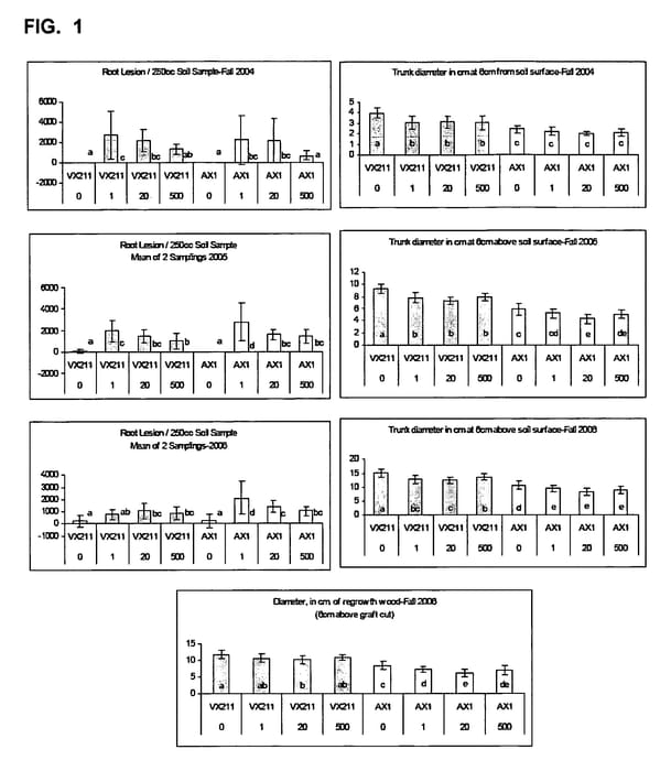 Figure 1 of US plant patent PP21179, the photograph of VX211 printed in the patent.