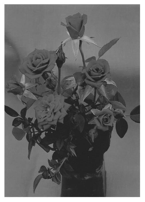 Figure 1 of US plant patent PP21862, the photograph of Savamont printed in the patent.