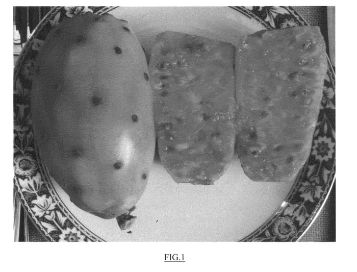 Figure 1 of US plant patent PP22077, the photograph of DAR 1-27-24 Orange printed in the patent.
