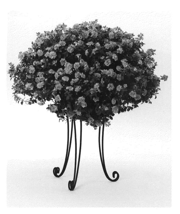 Figure 1 of US plant patent PP22235, the photograph of Bluette Strawberry Sundae RS printed in the patent.