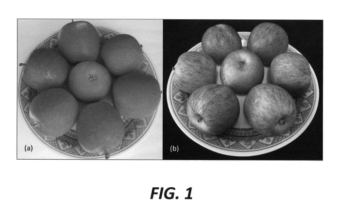 Figure 1 of US plant patent PP23003, the photograph of Monalisa printed in the patent.