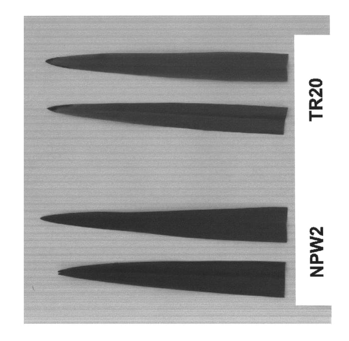 Figure 1 of US plant patent PP23084, the photograph of NPW2 printed in the patent.