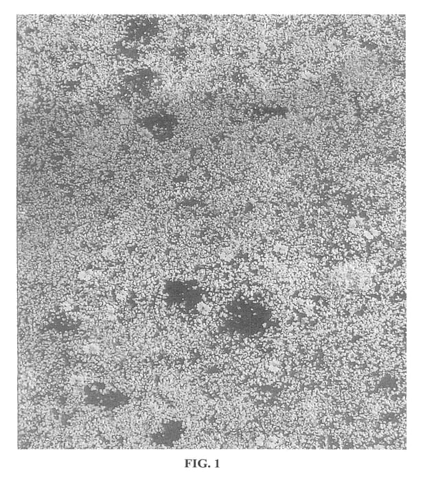 Figure 1 of US plant patent PP23156, the photograph of Henry Blanke printed in the patent.