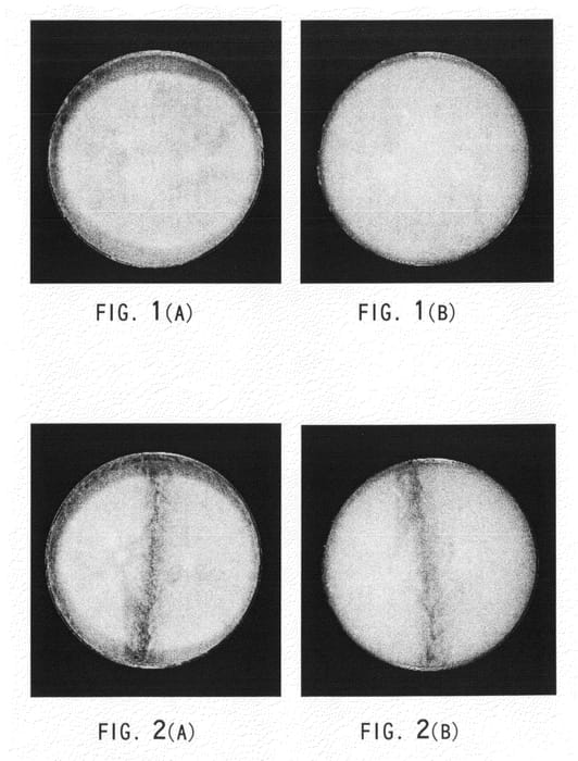 Figure 1 of US plant patent PP23210, the photograph of PLE-3 printed in the patent.