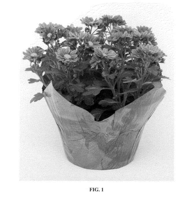 Figure 1 of US plant patent PP23366, the photograph of Power Red printed in the patent.