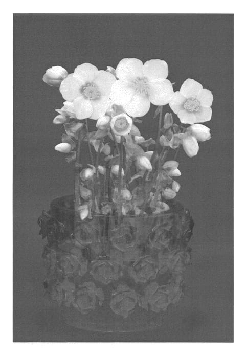 Figure 1 of US plant patent PP23753, the photograph of VERBEAUTY2 printed in the patent.