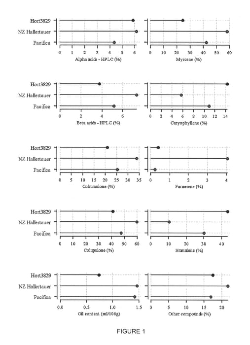 Figure 1 of US plant patent PP23985, the photograph of Hort3829 printed in the patent.