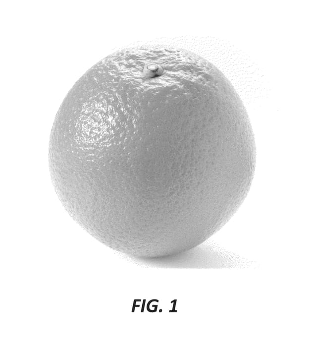 Figure 1 of US plant patent PP24934, the photograph of Carninka printed in the patent.