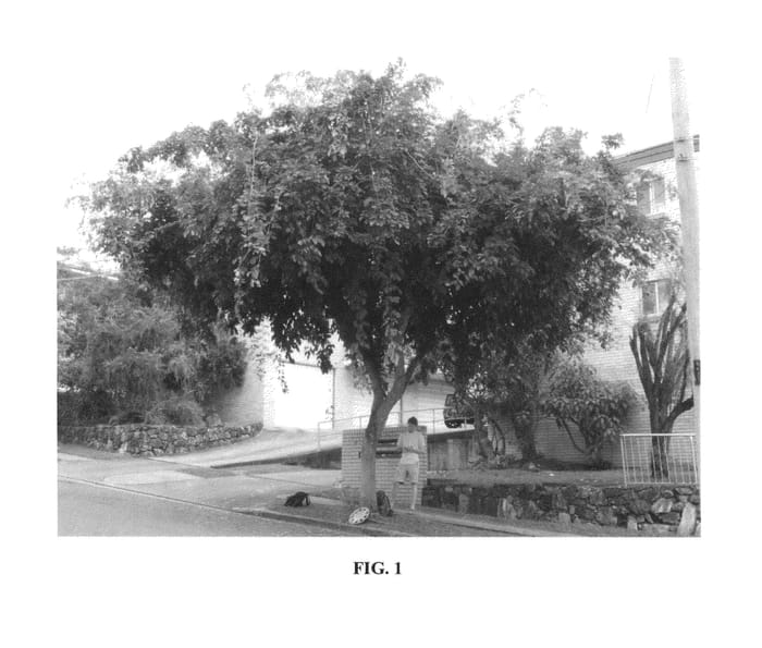 Figure 1 of US plant patent PP26060, the photograph of K140 printed in the patent.