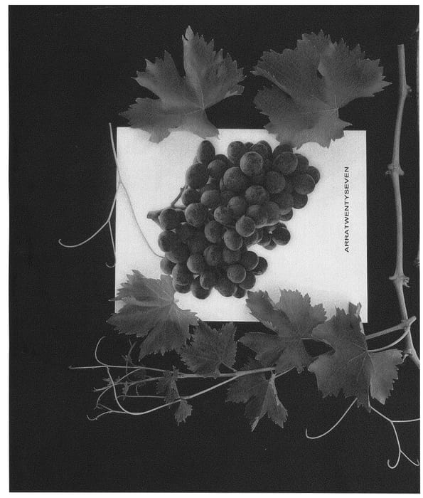 Figure 1 of US plant patent PP26682, the photograph of ARRATWENTYSEVEN printed in the patent.