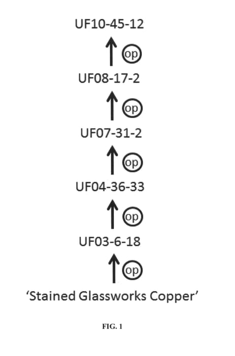 Figure 1 of US plant patent PP27126, the photograph of UF10-45-12 printed in the patent.