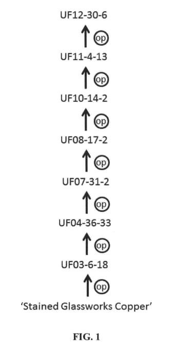 Figure 1 of US plant patent PP27140, the photograph of UF12-30-6 printed in the patent.