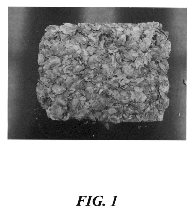 Figure 1 of US plant patent PP27256, the photograph of HBC 564 printed in the patent.