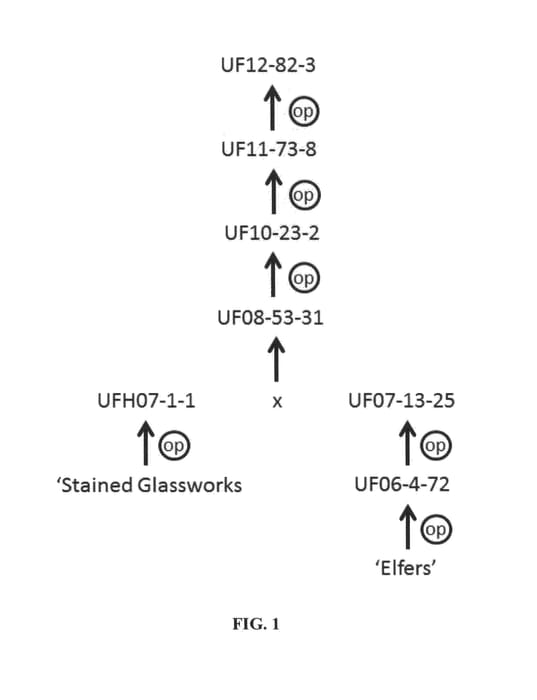 Figure 1 of US plant patent PP27288, the photograph of UF12-82-3 printed in the patent.
