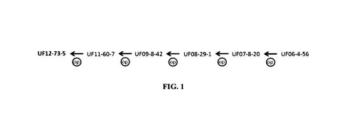 Figure 1 of US plant patent PP27499, the photograph of UF12-73-5 printed in the patent.