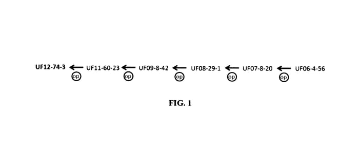 Figure 1 of US plant patent PP27500, the photograph of UF12-74-3 printed in the patent.