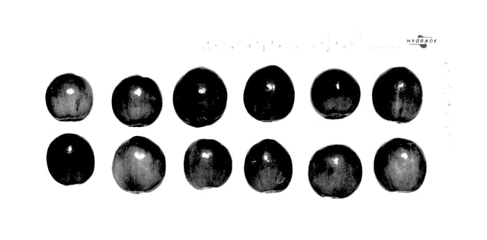 Figure 1 of US plant patent PP27657, the photograph of CNJ99-9-96 printed in the patent.