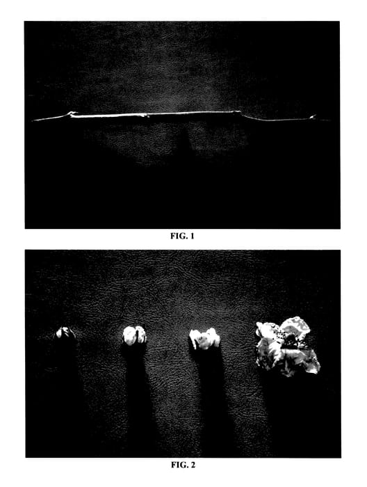 Figure 1 of US plant patent PP27681, the photograph of DrisBlackThirteen printed in the patent.