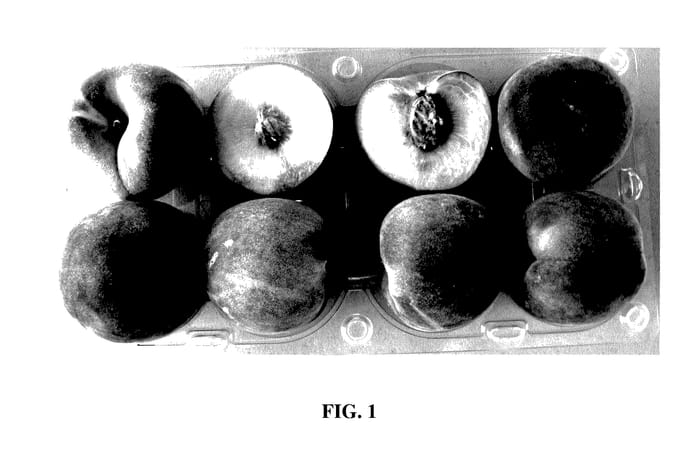 Figure 1 of US plant patent PP27710, the photograph of Royal Zest Three printed in the patent.