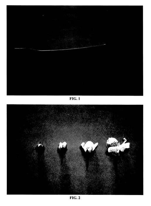 Figure 1 of US plant patent PP27746, the photograph of DrisBlackTwelve printed in the patent.