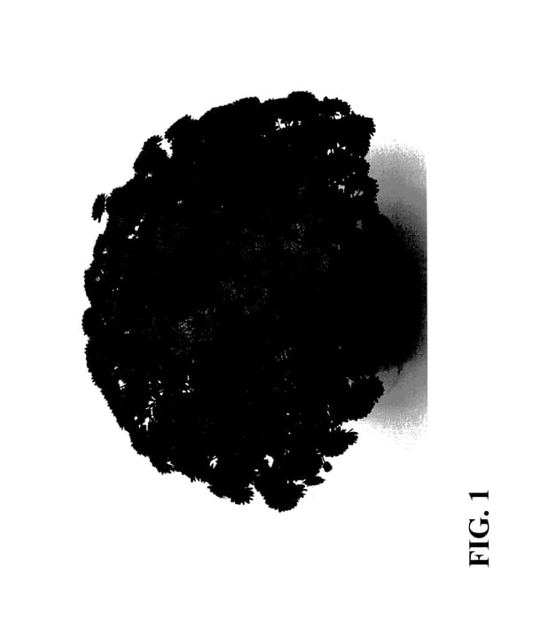 Figure 1 of US plant patent PP27783, the photograph of Zanmuberry printed in the patent.