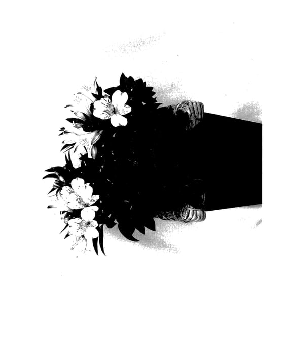 Figure 1 of US plant patent PP27959, the photograph of Koncasunda printed in the patent.
