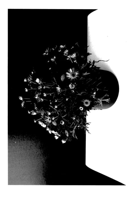 Figure 1 of US plant patent PP28117, the photograph of SUN 410 printed in the patent.