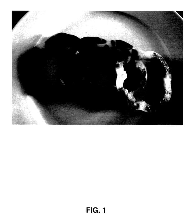 Figure 1 of US plant patent PP28123, the photograph of E20B3751 printed in the patent.