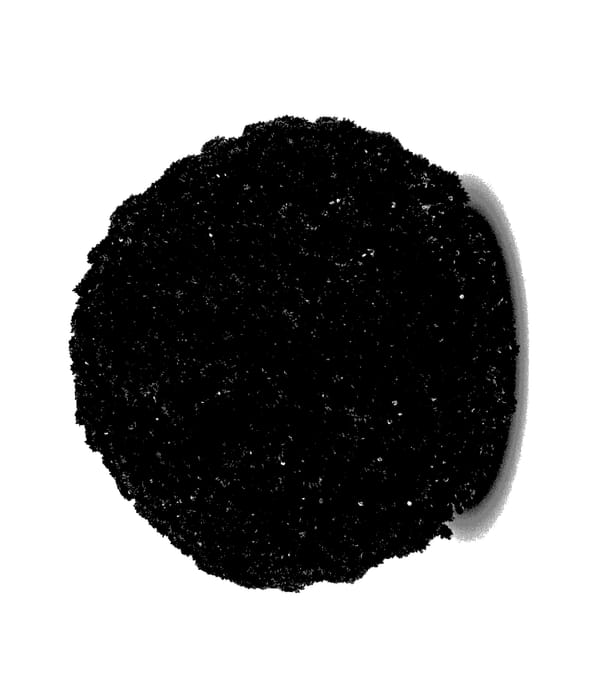 Figure 1 of US plant patent PP28156, the photograph of Mefisto Dark Red printed in the patent.